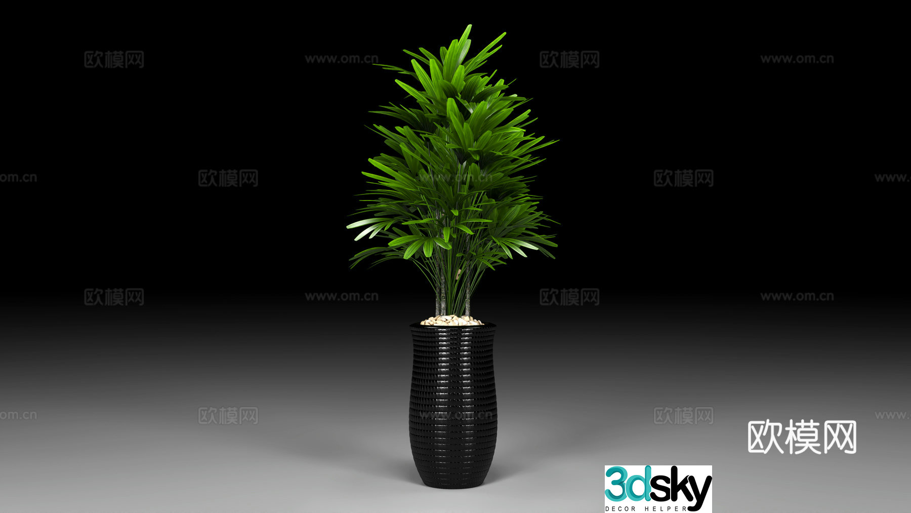 Green plant potted plants plant bonsai potted plants plant combinations flowers bonsai decoration ornaments green ivy 3D model