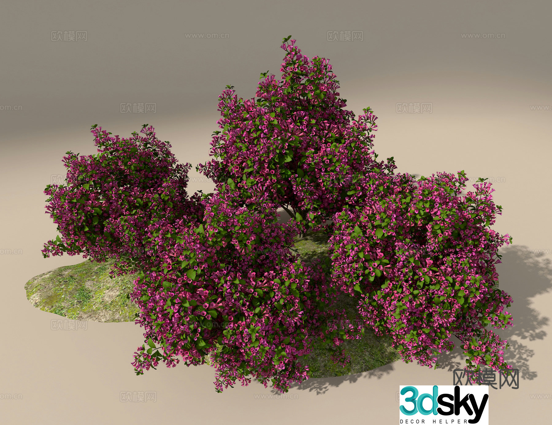 3D model of brocade flower