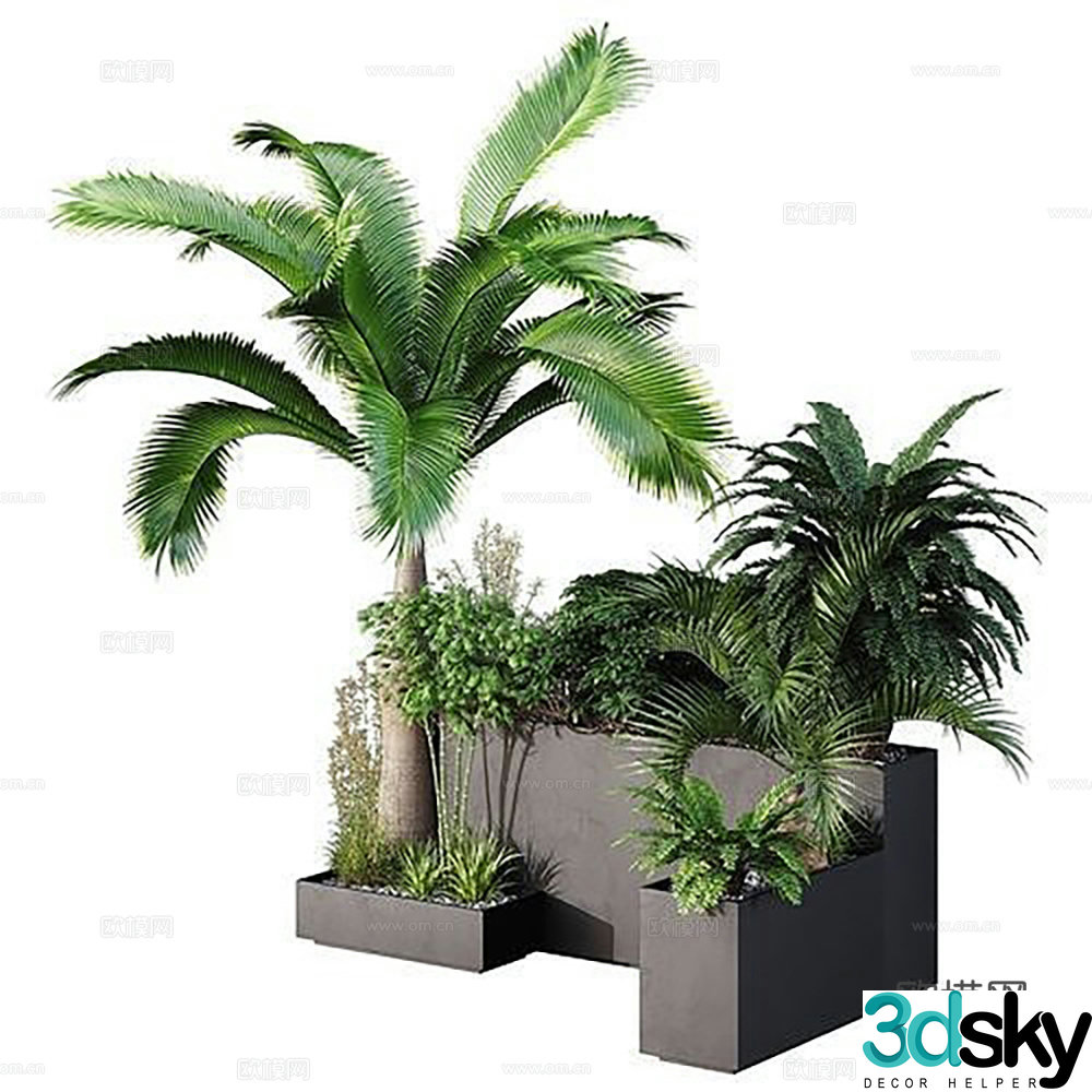 Modern plant green plant flower box houseplant 3d model