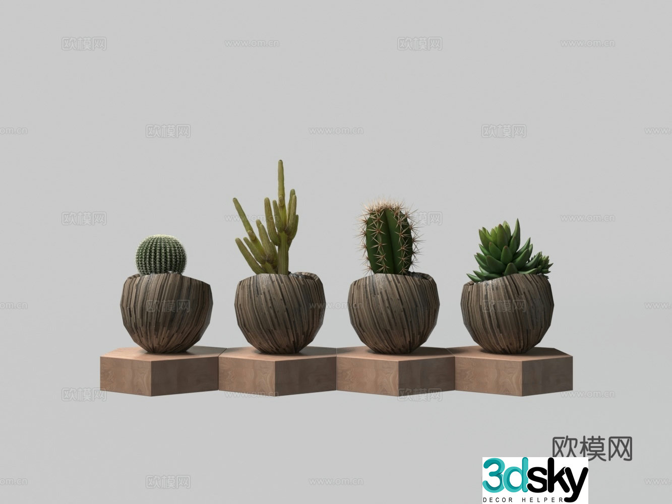 Succulent potted plant 3D model