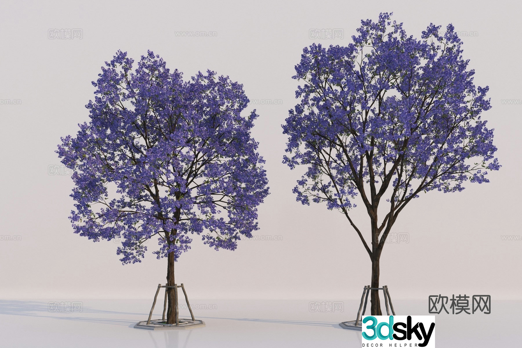 Modern tree Jacaranda 3D model