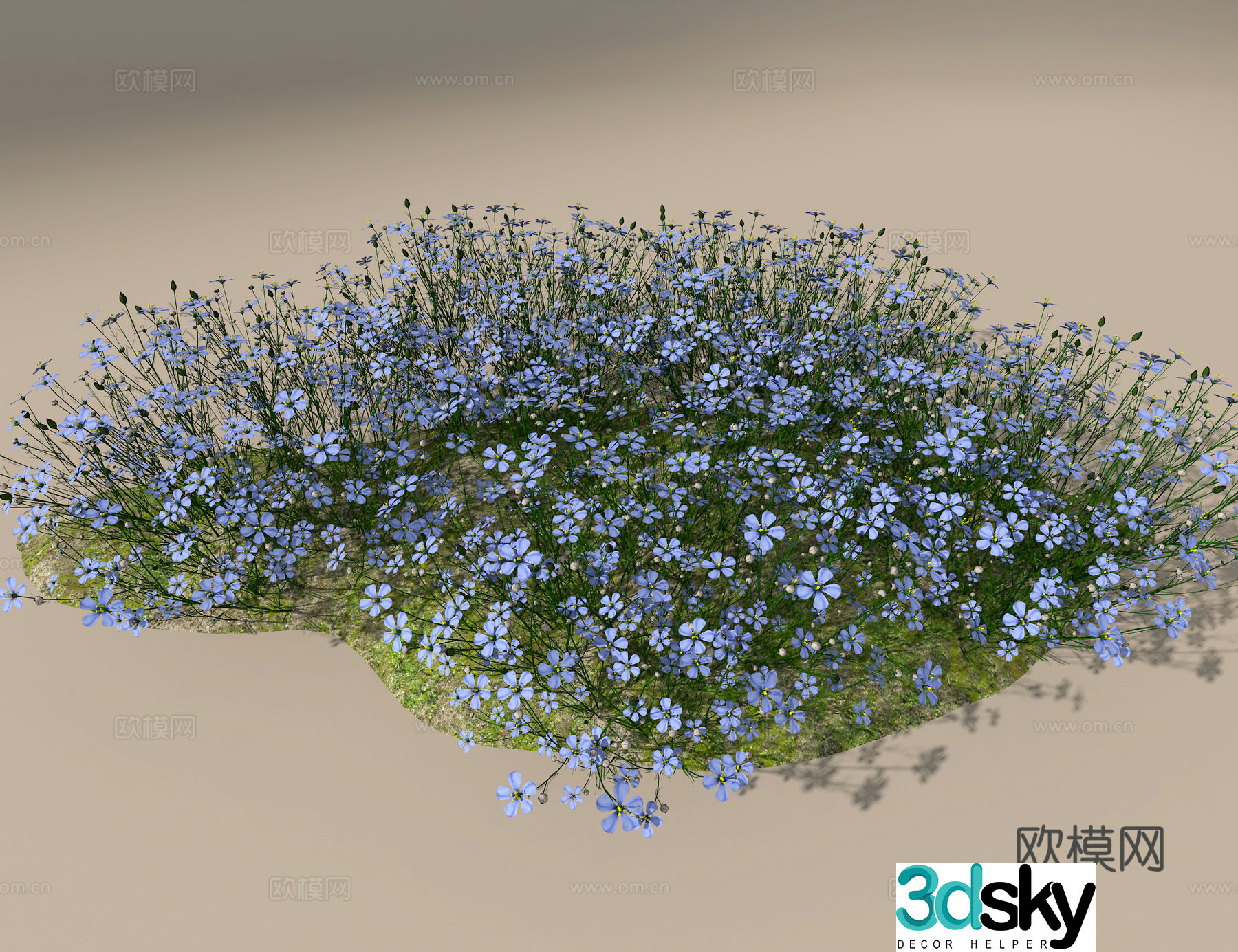 Blue Star Flower 3D Model