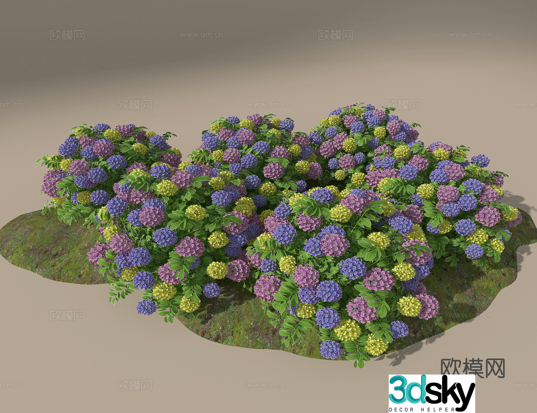 Hydrangea 3d model