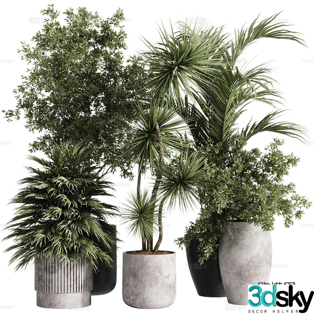 New Chinese green plant potted 3D model
