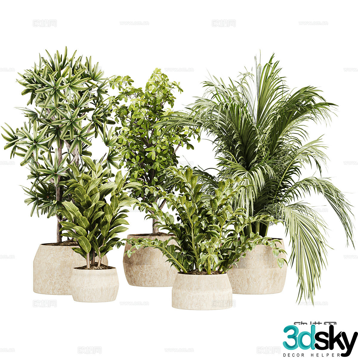 New Chinese style wasabi green plant potted 3D model