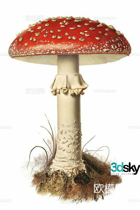 Mushroom poisonous fly umbrella 3d model