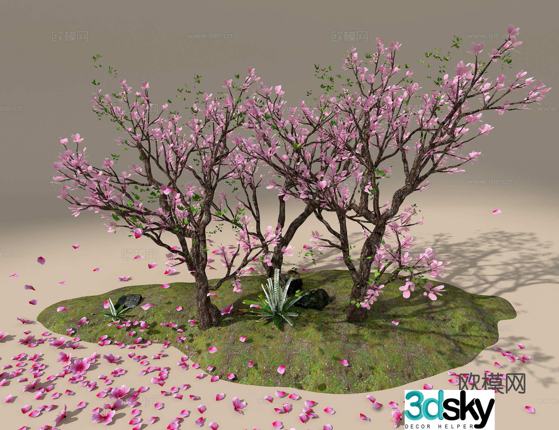 Peach Tree 3D Model