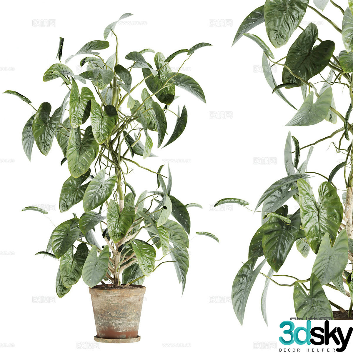 New Chinese style wabi sabi pot plant 3D model
