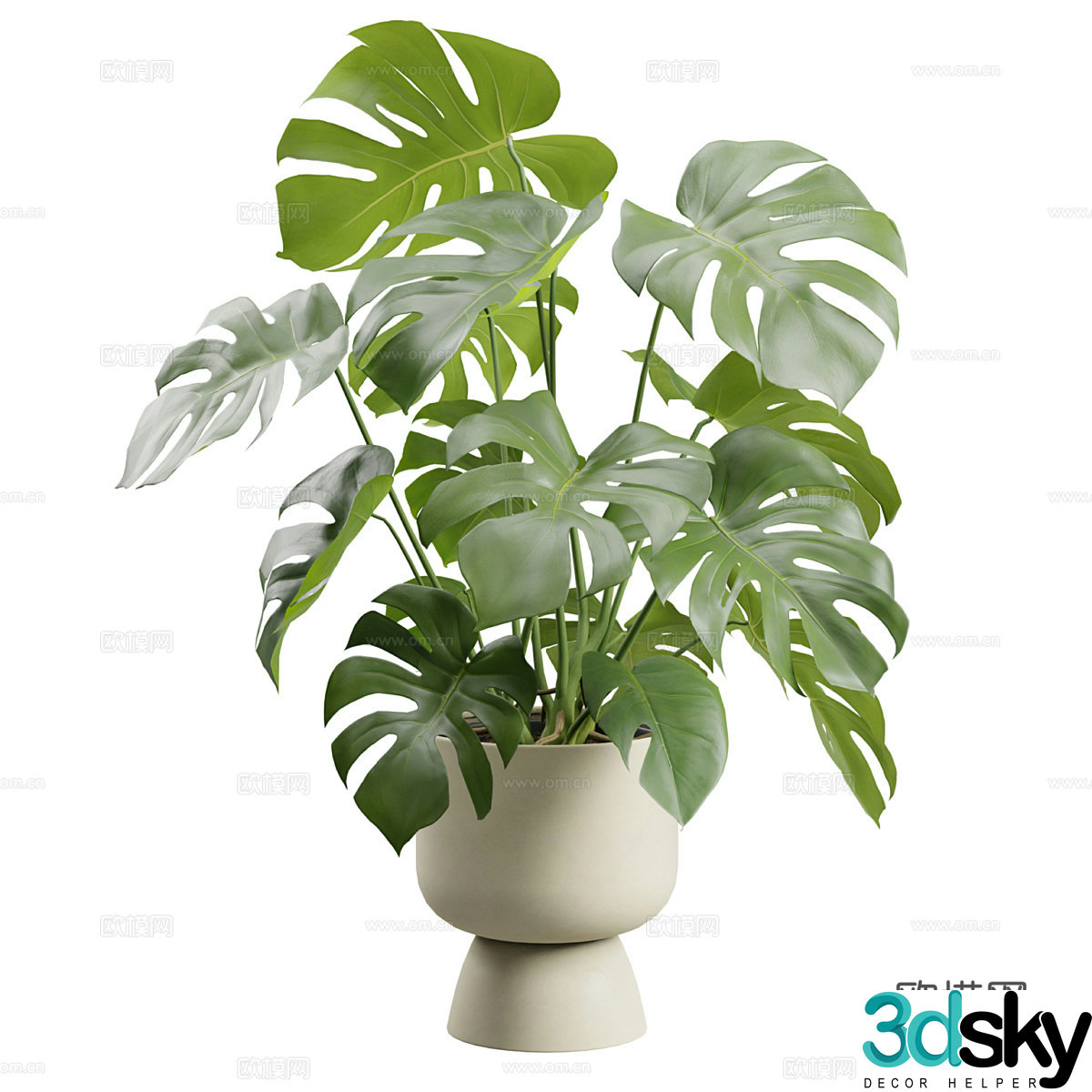 Modern cream style green plant potted 3D model