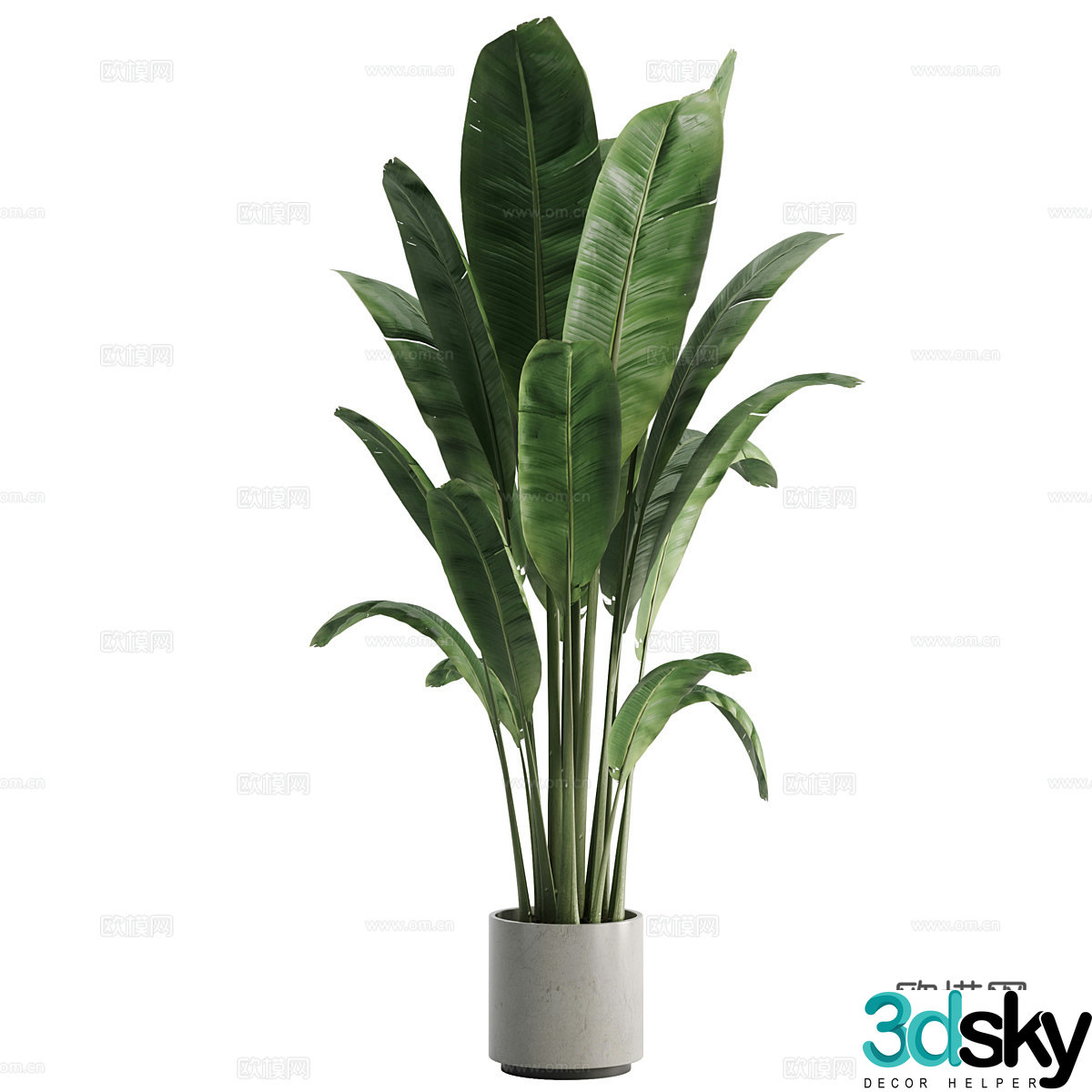 Modern green plant potted 3D model