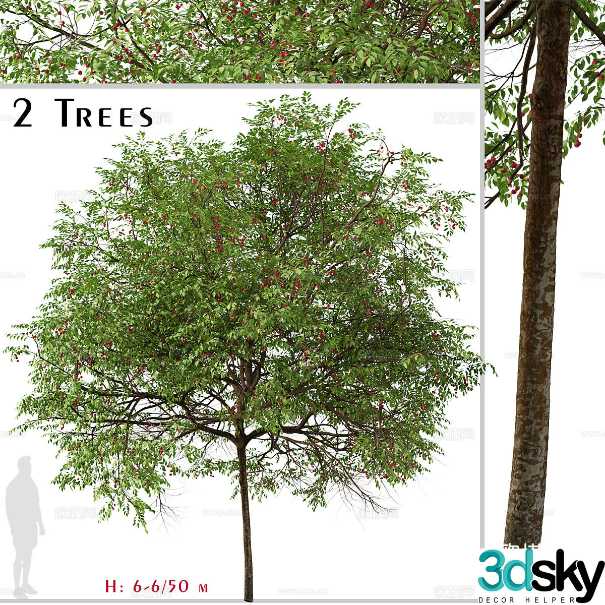 Tree Street Tree Garden Tree Urban Greening Landscape Tree Big Tree Decorative Green Plant Outdoor 3D Model