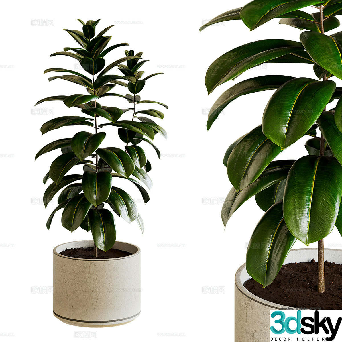 Potted green plants Decorative green plants Outdoor green plants Indoor green plants Flooring 3D model