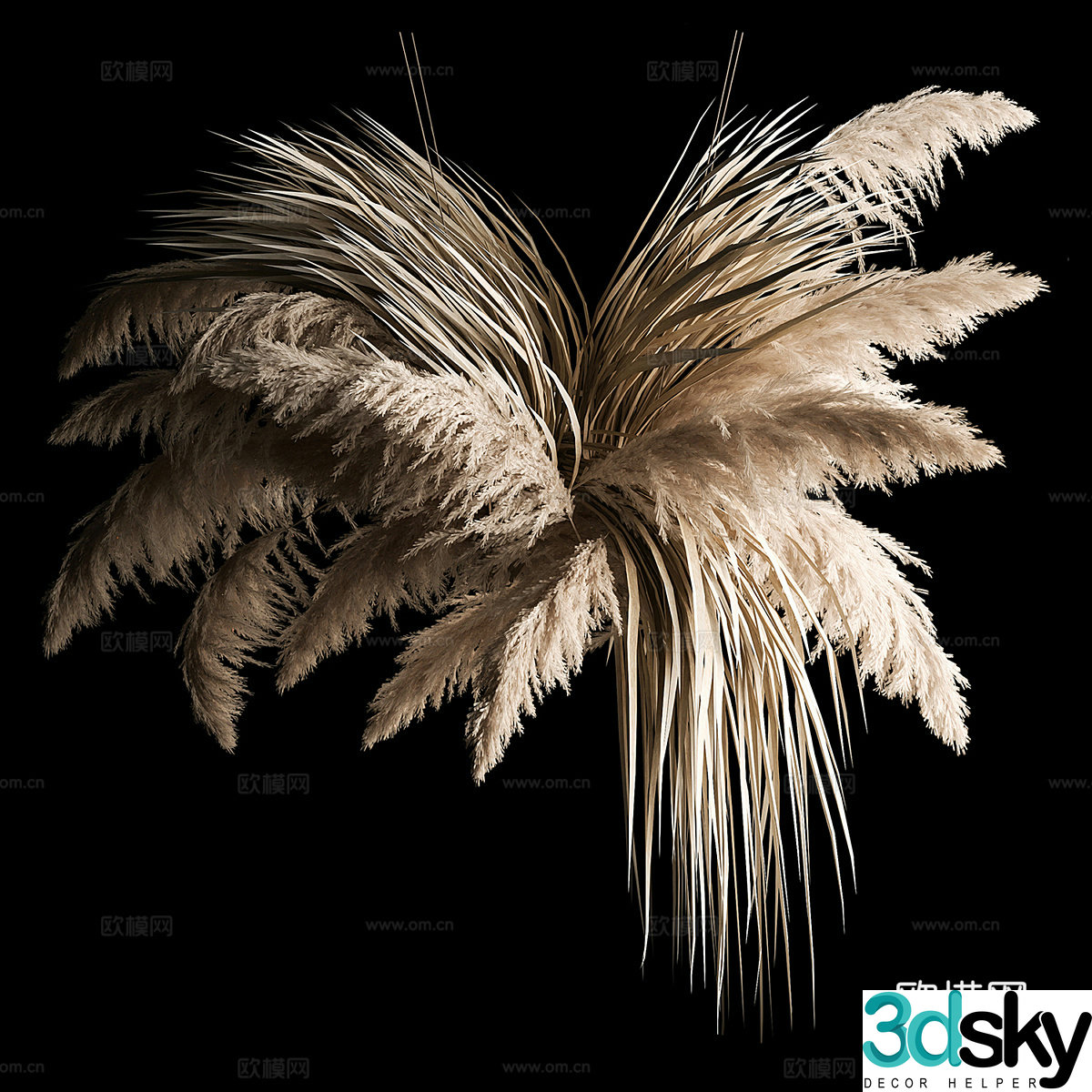 Hanging Pampas Grass 3D Model