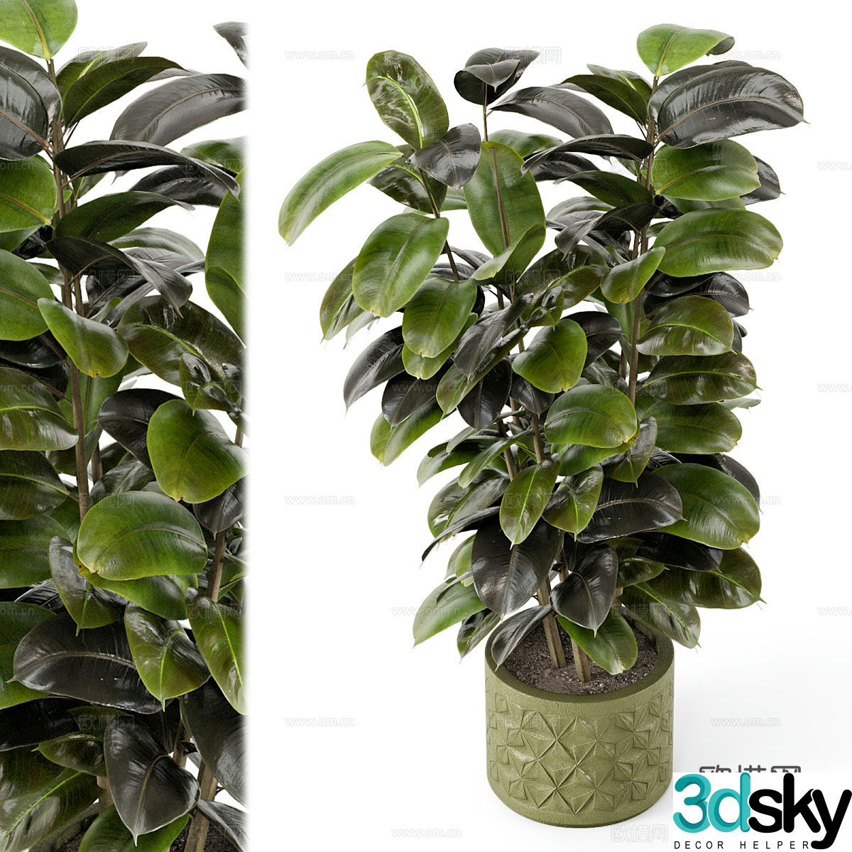 New Chinese green plant potted 3D model