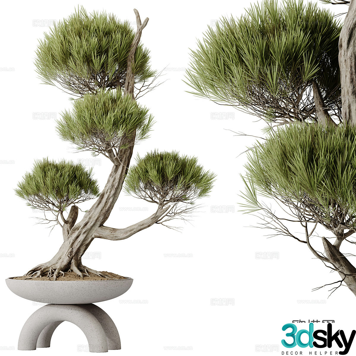 New Chinese bonsai 3D model