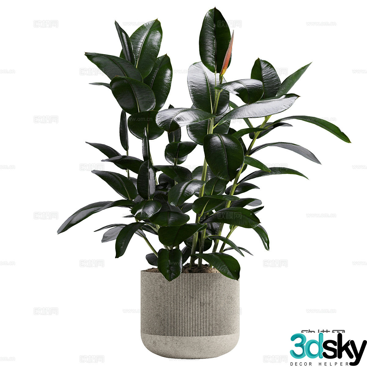 Modern Banyan Pot Plant 3D Model
