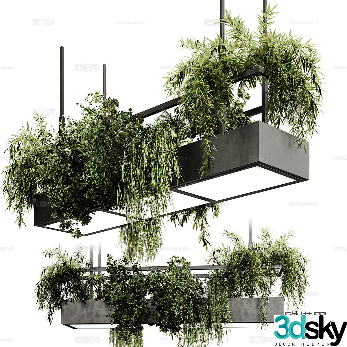 Hanging basket green plants Hanging basket Hotel hanging basket Decorative hanging basket Potted green plants Hanging style Sales office 3D model