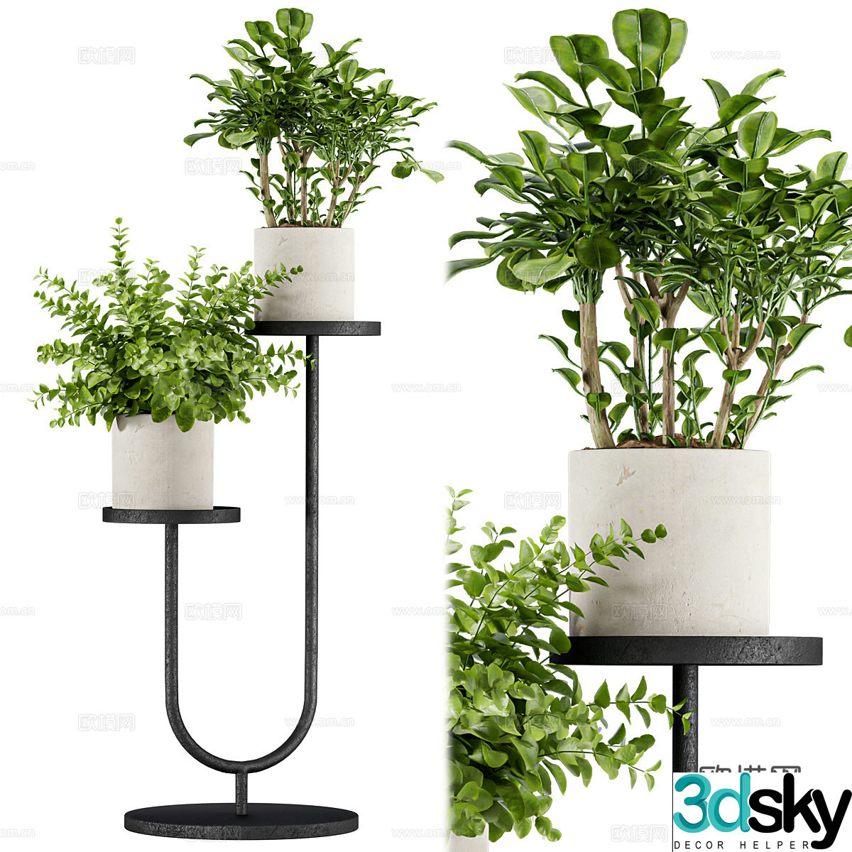 Modern green bonsai 3d model