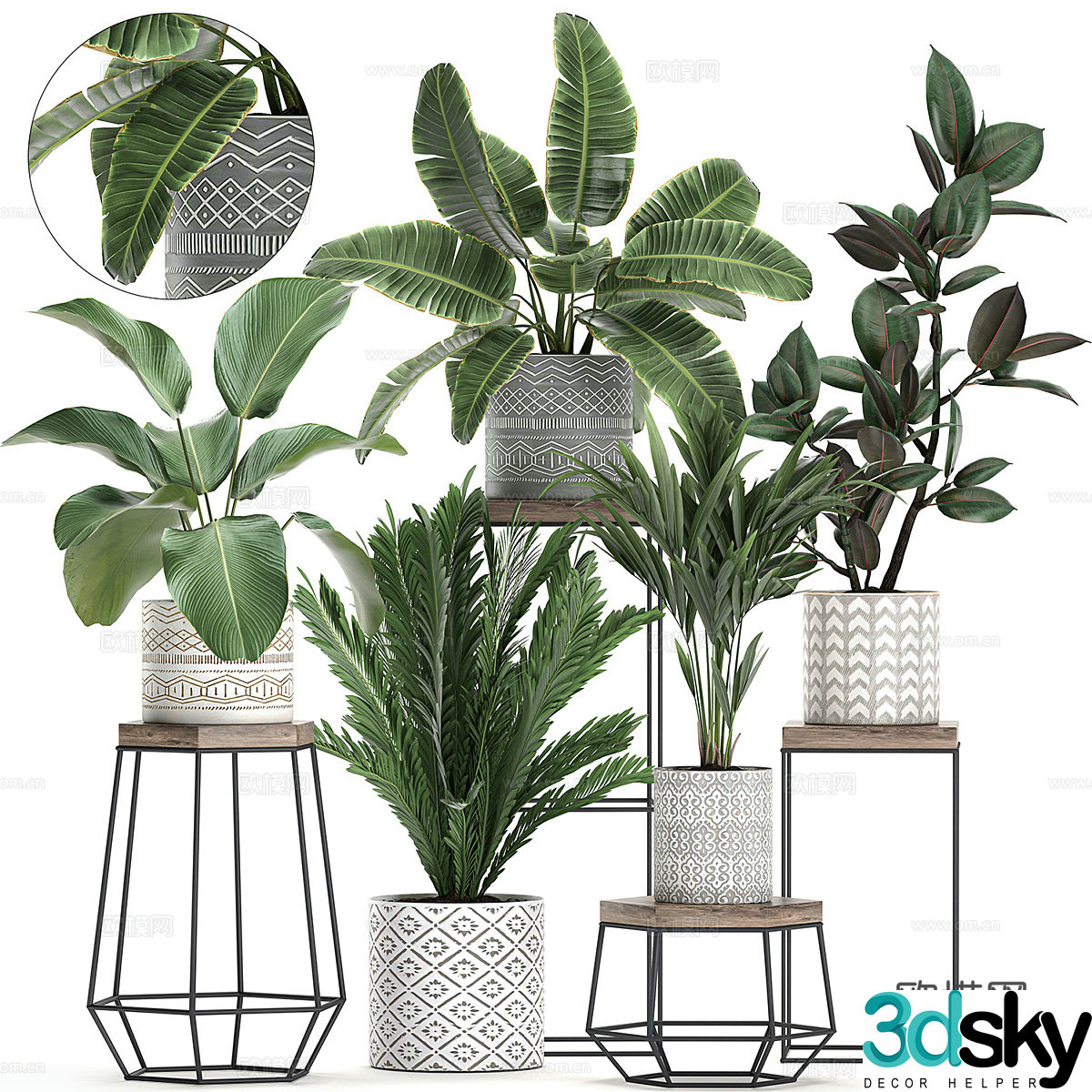 New Chinese green plant bonsai 3D model