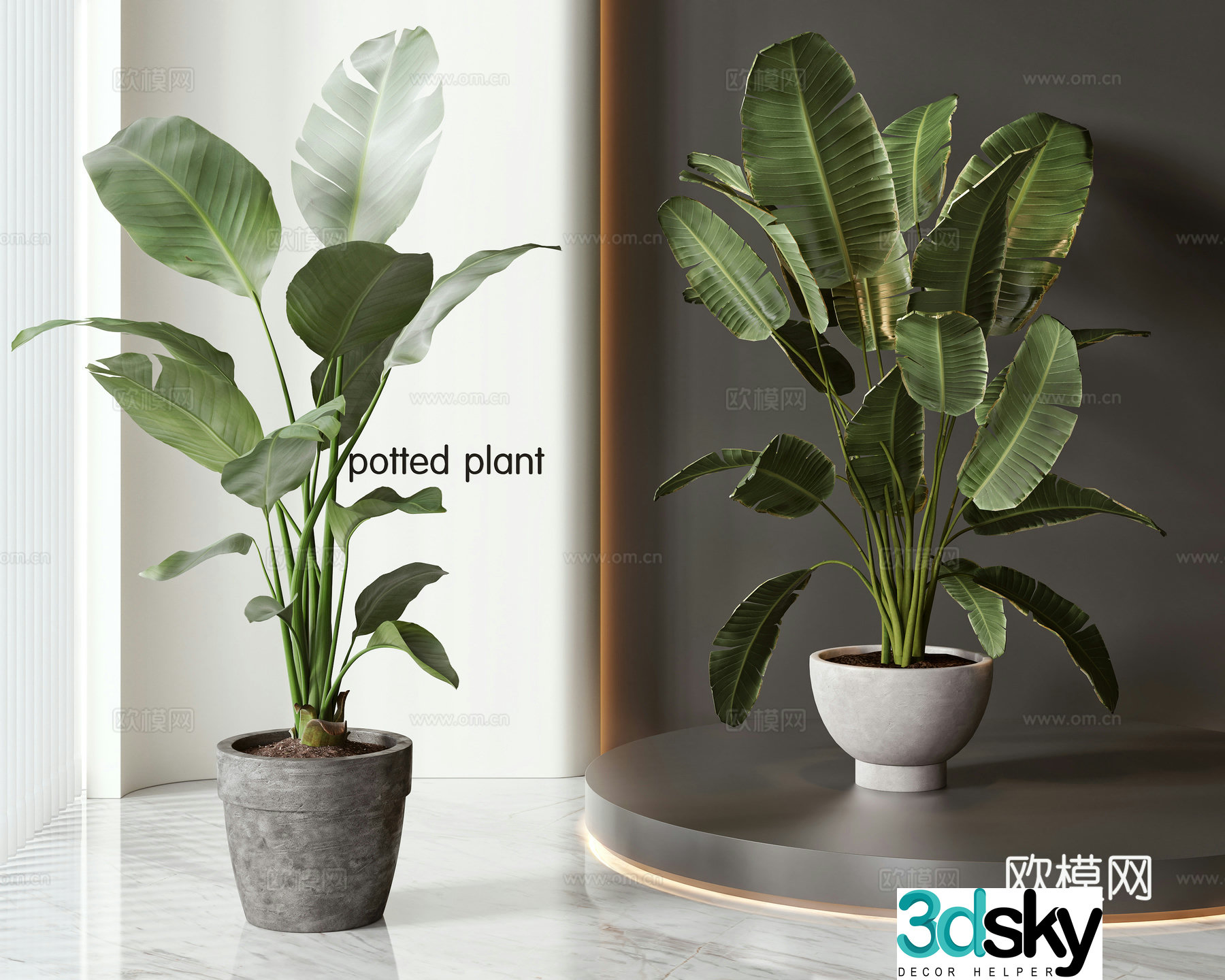 Modern potted bonsai combination 3D model