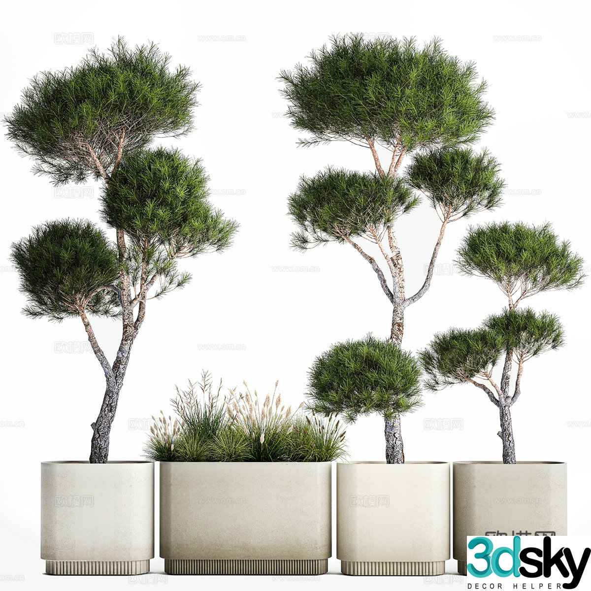 Green plant potted 3D model