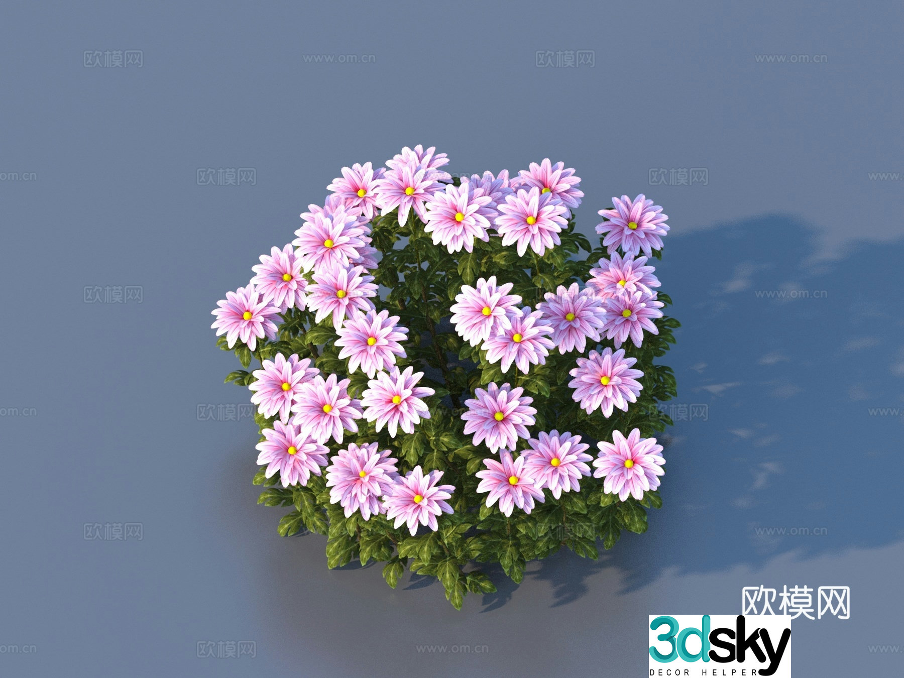 Flowers Wild Flowers Green Plants Flowers 3D Model