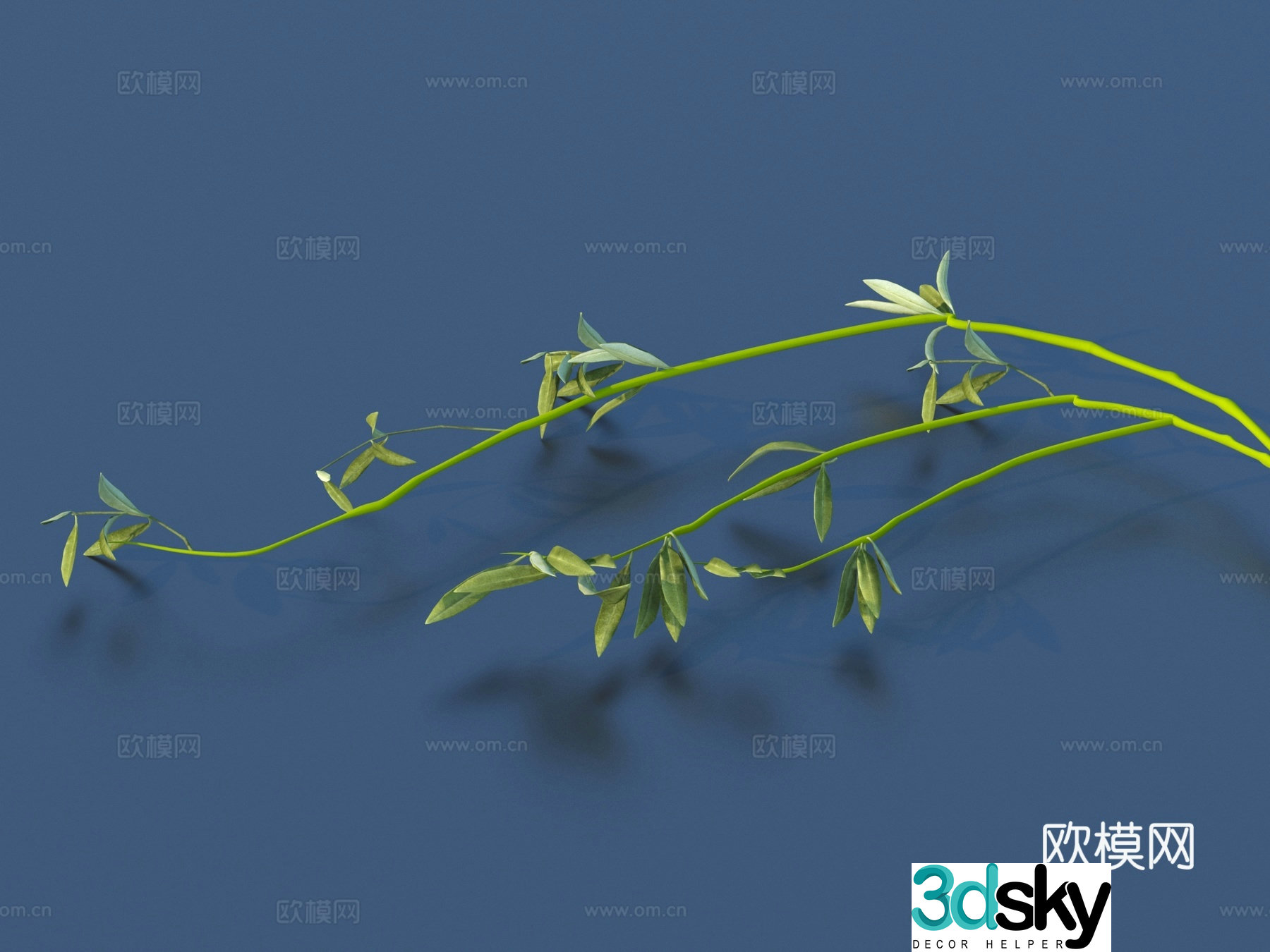 Vegetable leaves side dishes vegetables grass 3d model