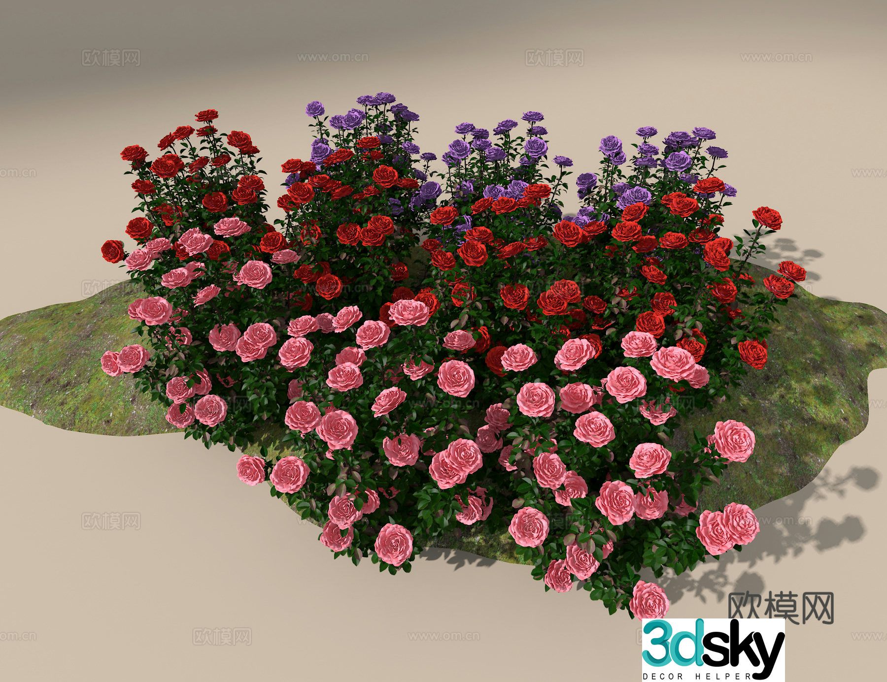 Rose 3d model