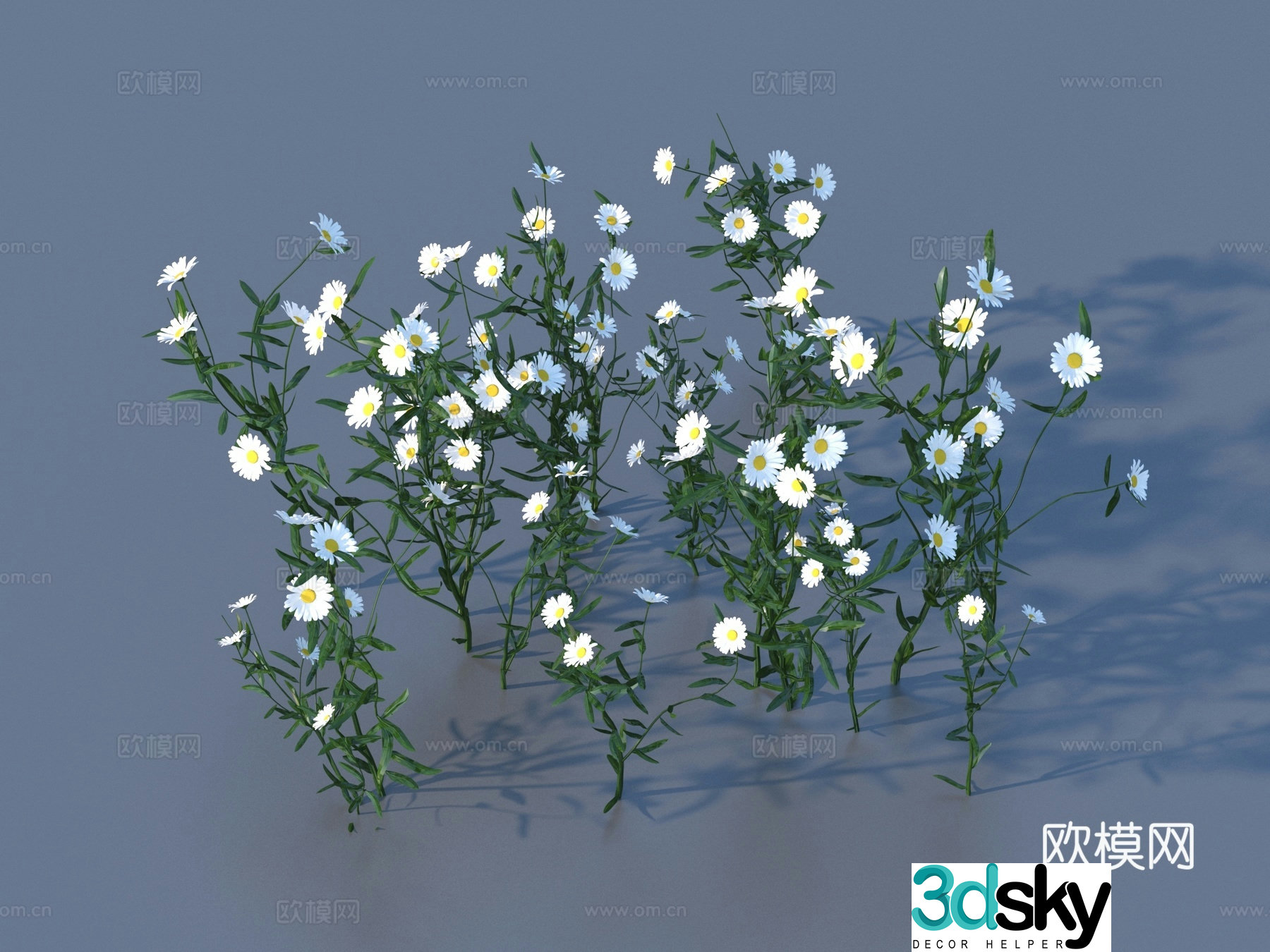 Flowers Wild Flowers Green Plants Flowers 3D Model