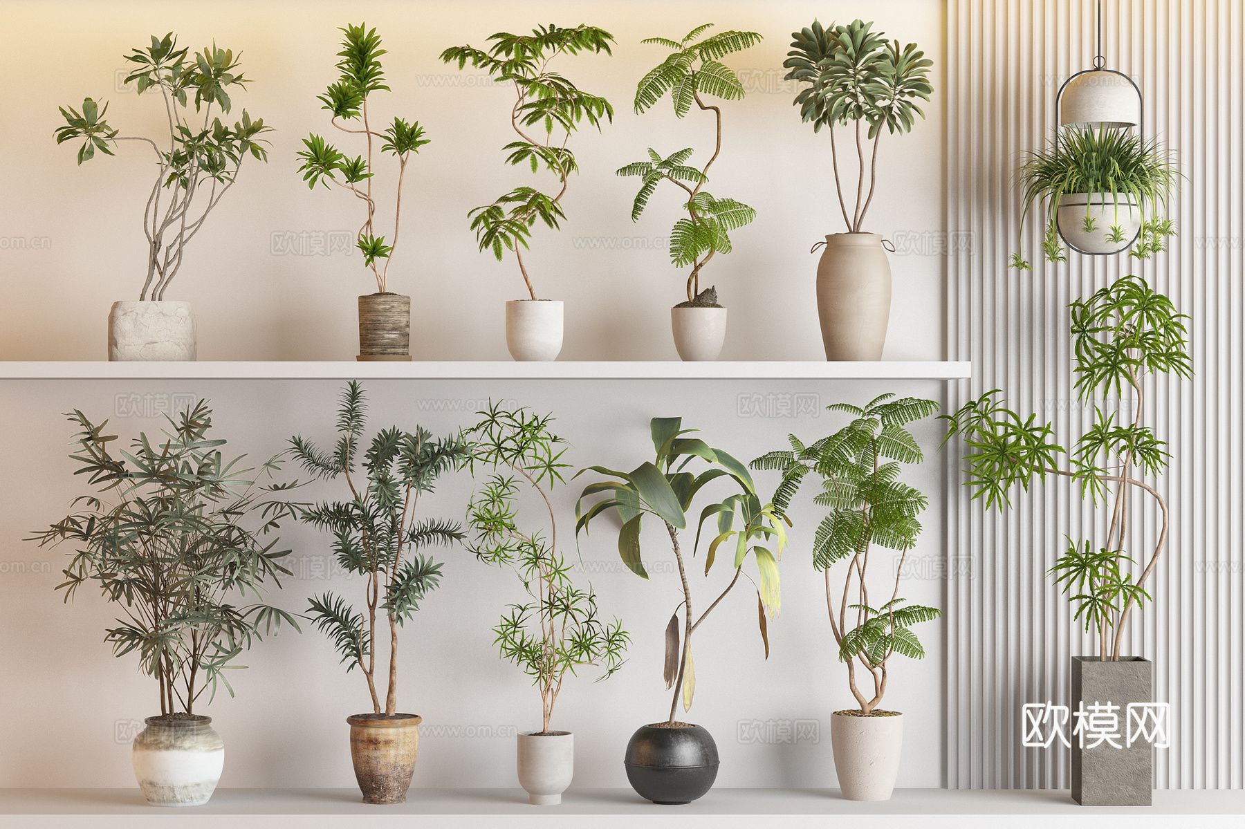 Modern Wasabi Green Plant Potted Plant Combination 3D Model