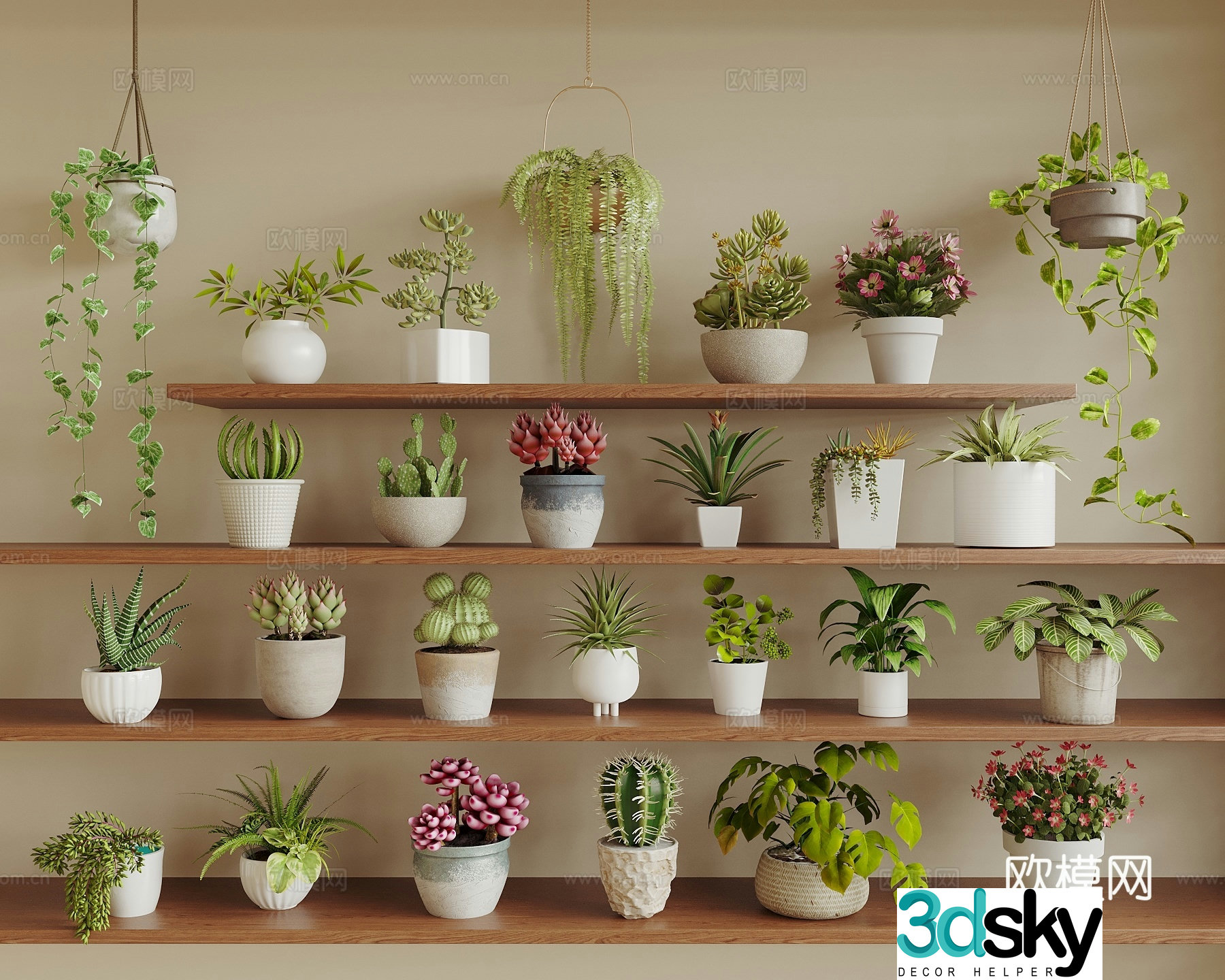 Modern potted plants succulent potted plants spider plants green ivy cactus desktop potted plants 3D model