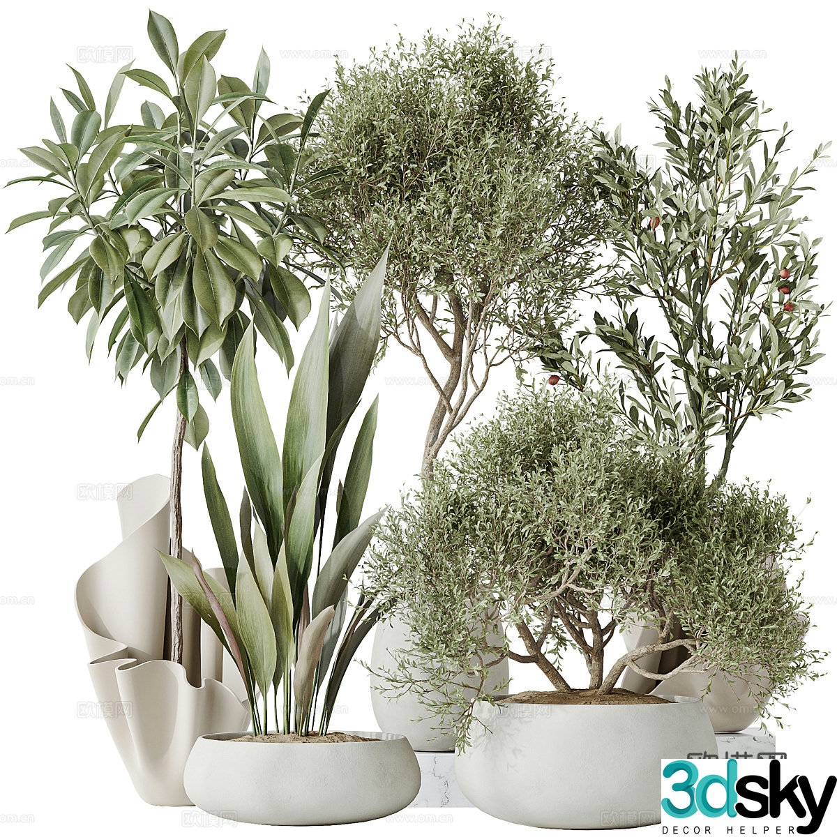 New Chinese style wasabi green plant potted 3D model