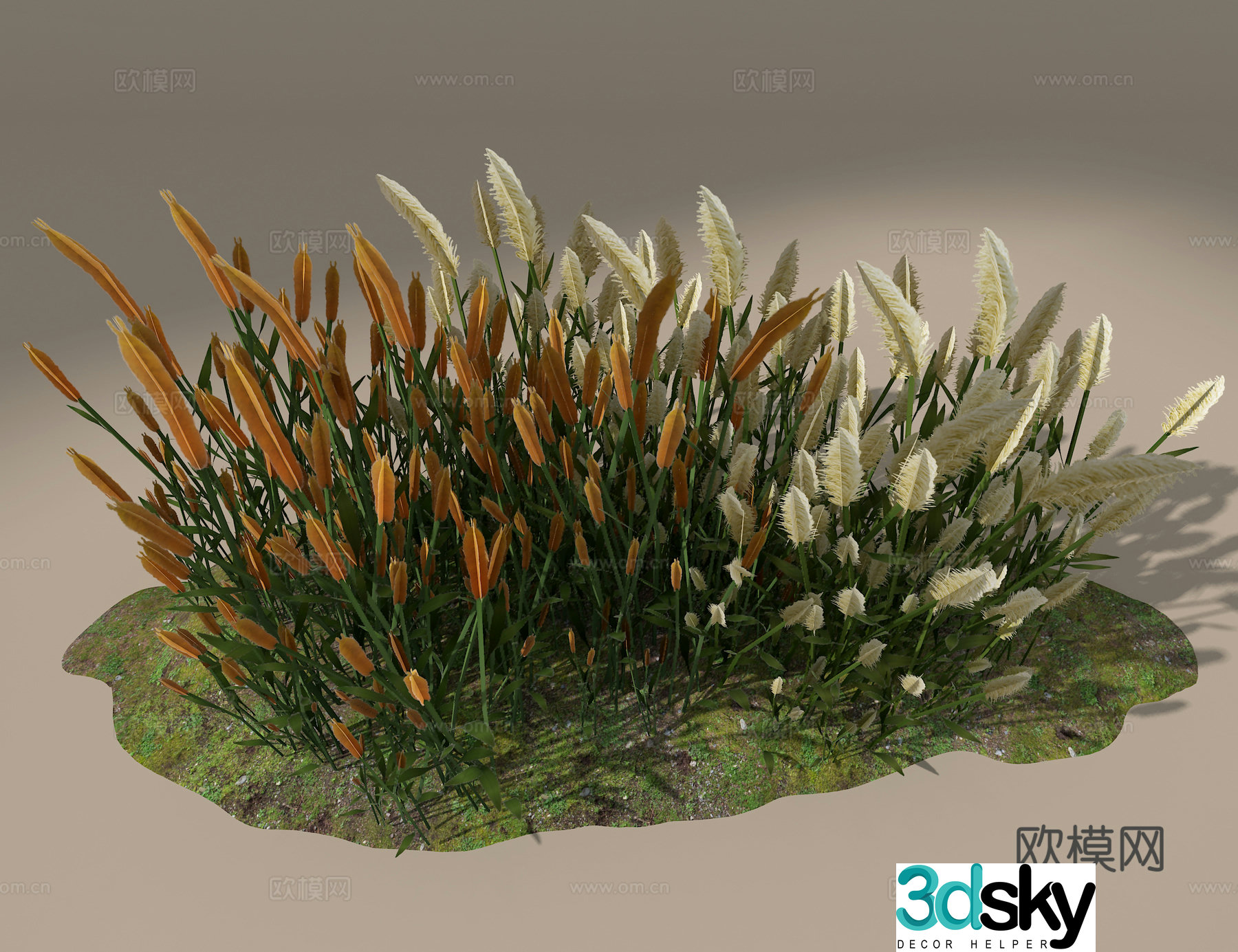 Reed 3d model