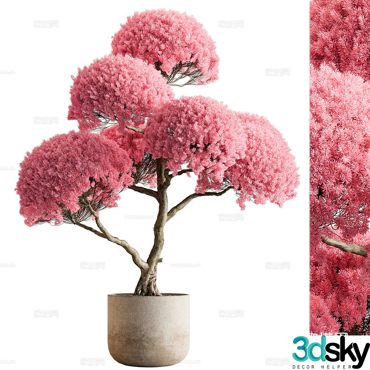 New Chinese potted 3D model