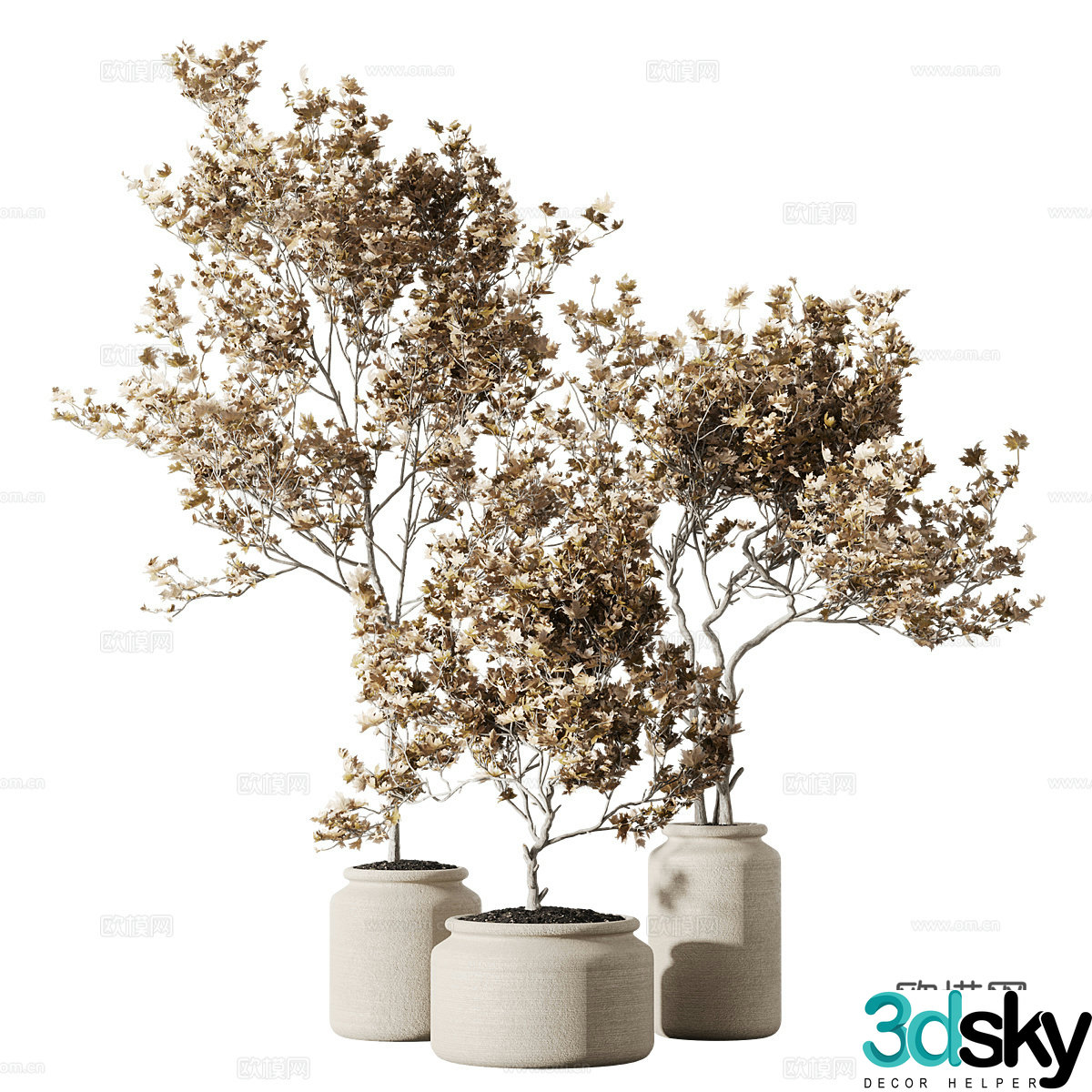 Green plant ornaments Outdoor green plants Balcony green plants Flooring Indoor green plants Potted plants Green plant potted plants 3D model
