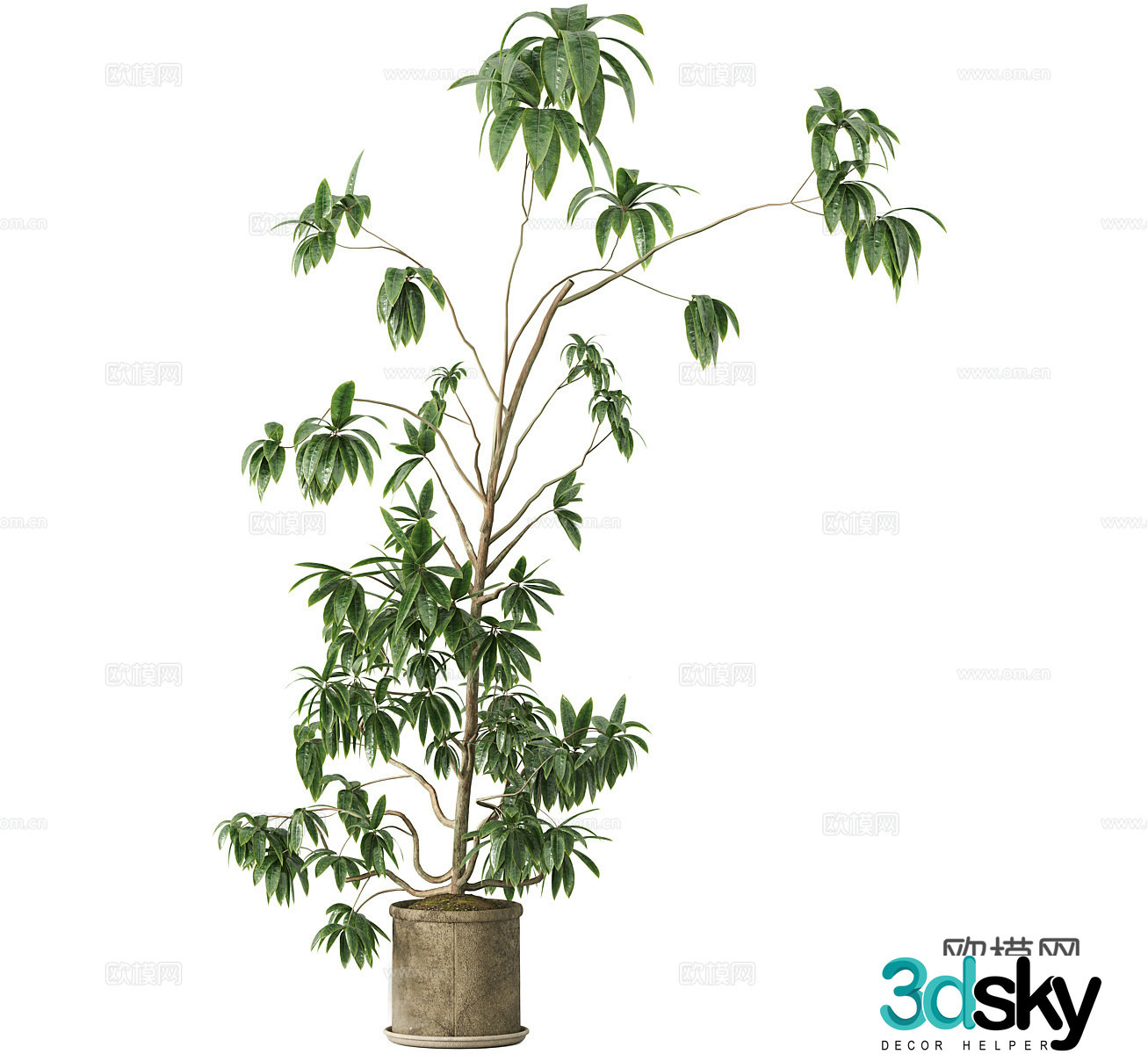 Green plant potted plants Decorative green plants Balcony green plants Outdoor green plants Indoor green plants Flooring 3D model