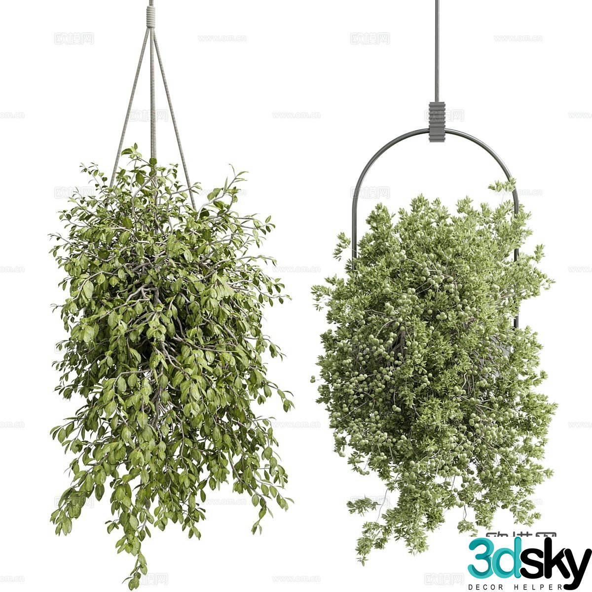 Outdoor green plants hanging basket hanging basket green plants decorative green plants outdoor hanging basket homestay hanging basket 3D model