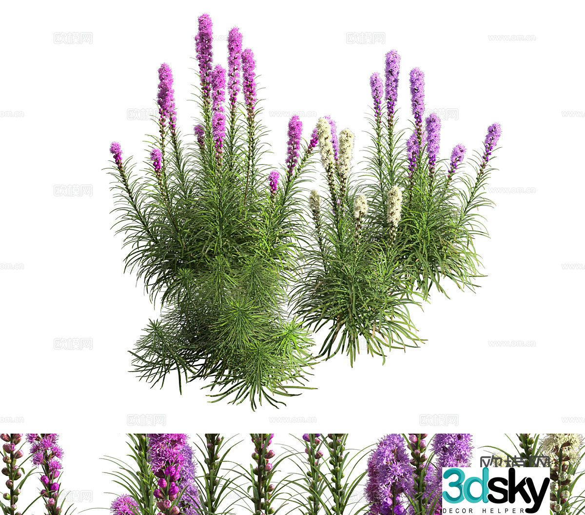 Flower bed green plants decorative green plants outdoor green plants flowers wild flowers flowers green plants 3D model