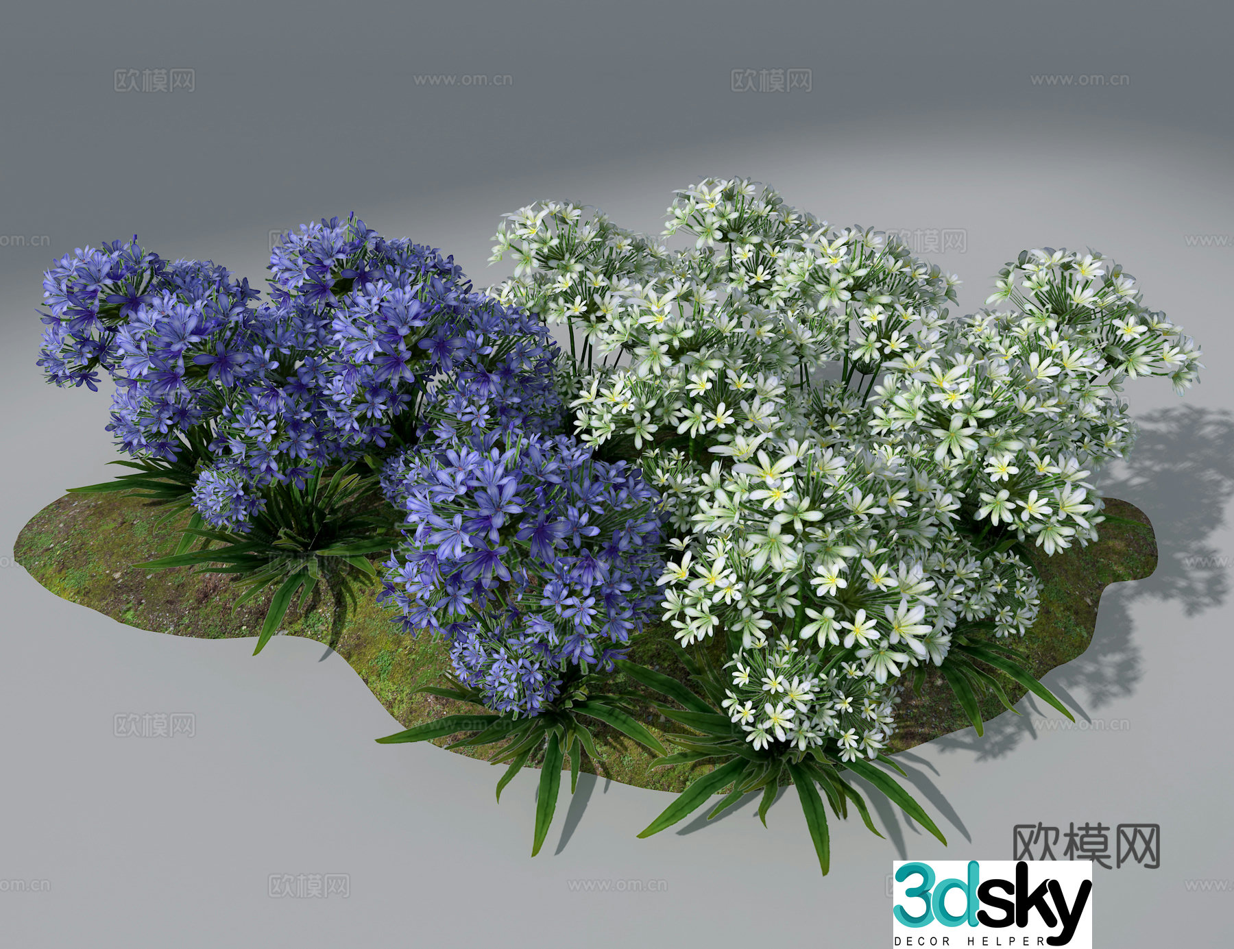 Landscape flowers and plants 3d model
