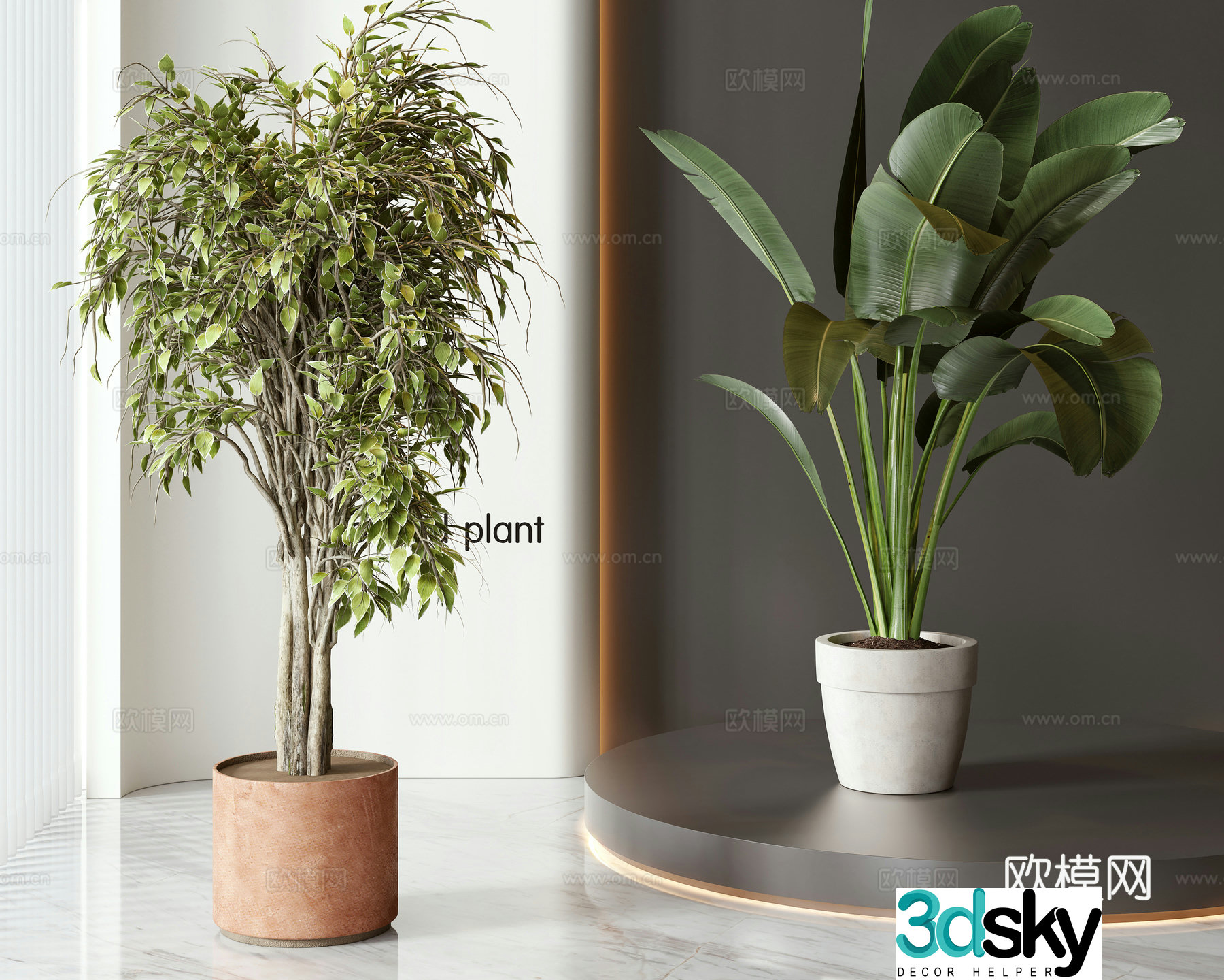 Modern potted bonsai combination 3D model