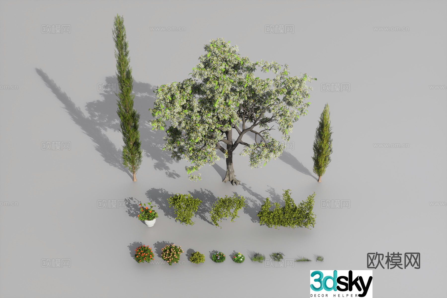 Plant combination 3D model