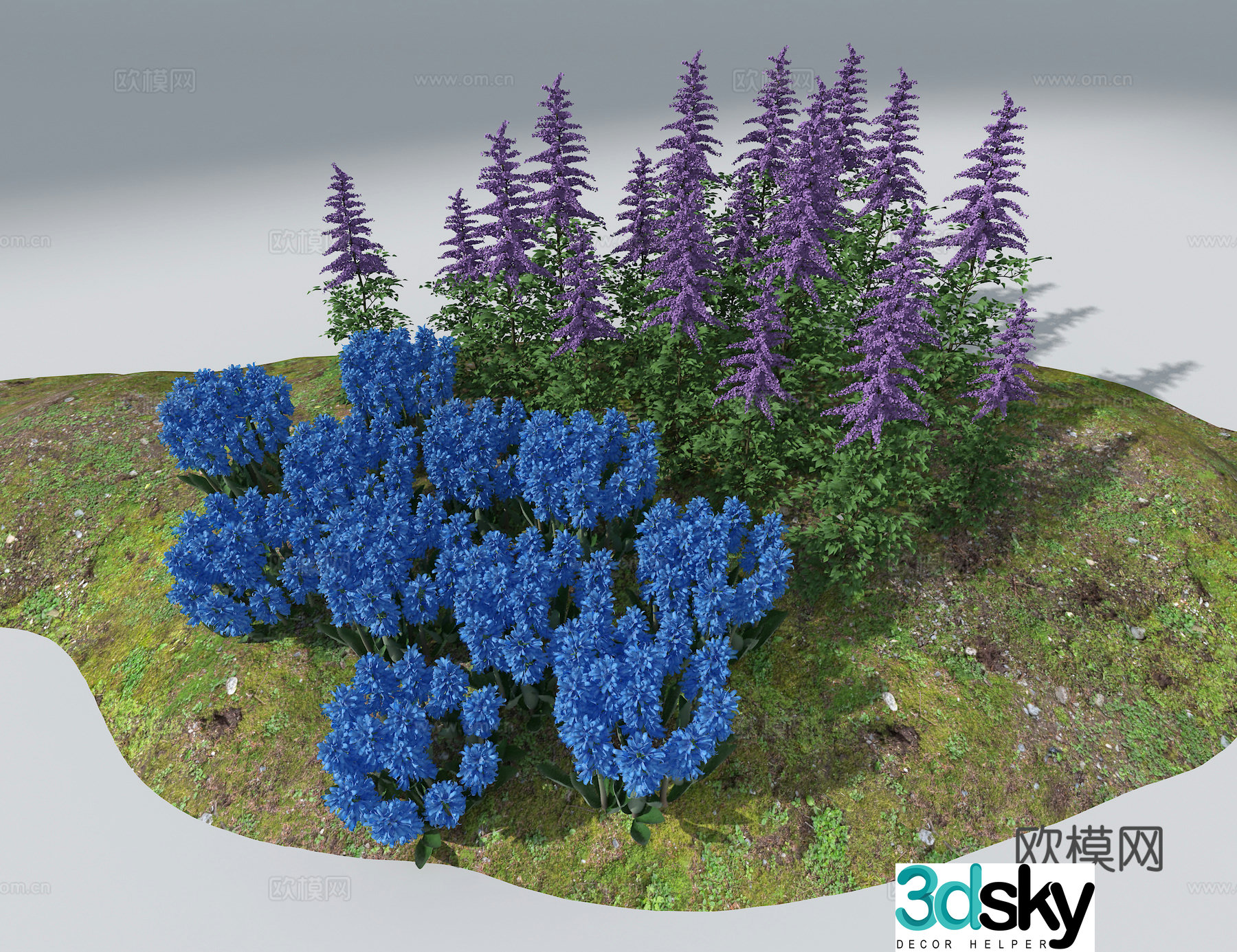 Landscape flowers and plants 3d model