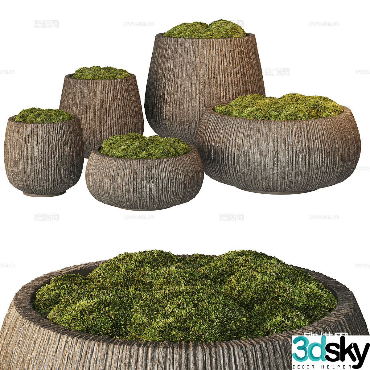 New Chinese bonsai moss 3d model