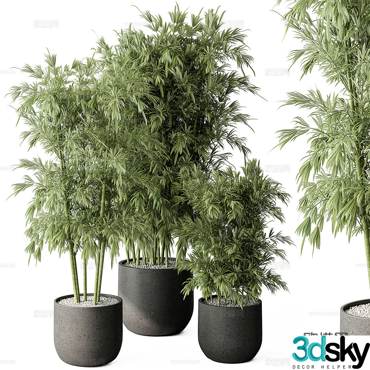 Green plant potted plants Decorative green plants Balcony green plants Outdoor green plants Indoor green plants Flooring 3D model