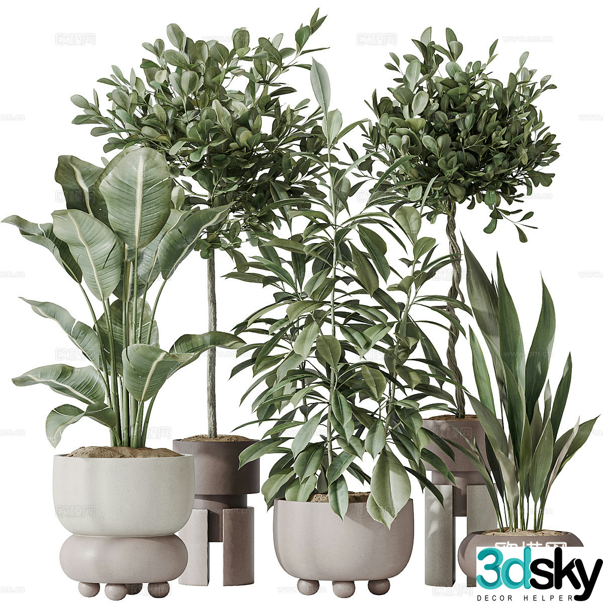 Modern green plant potted bonsai 3d model