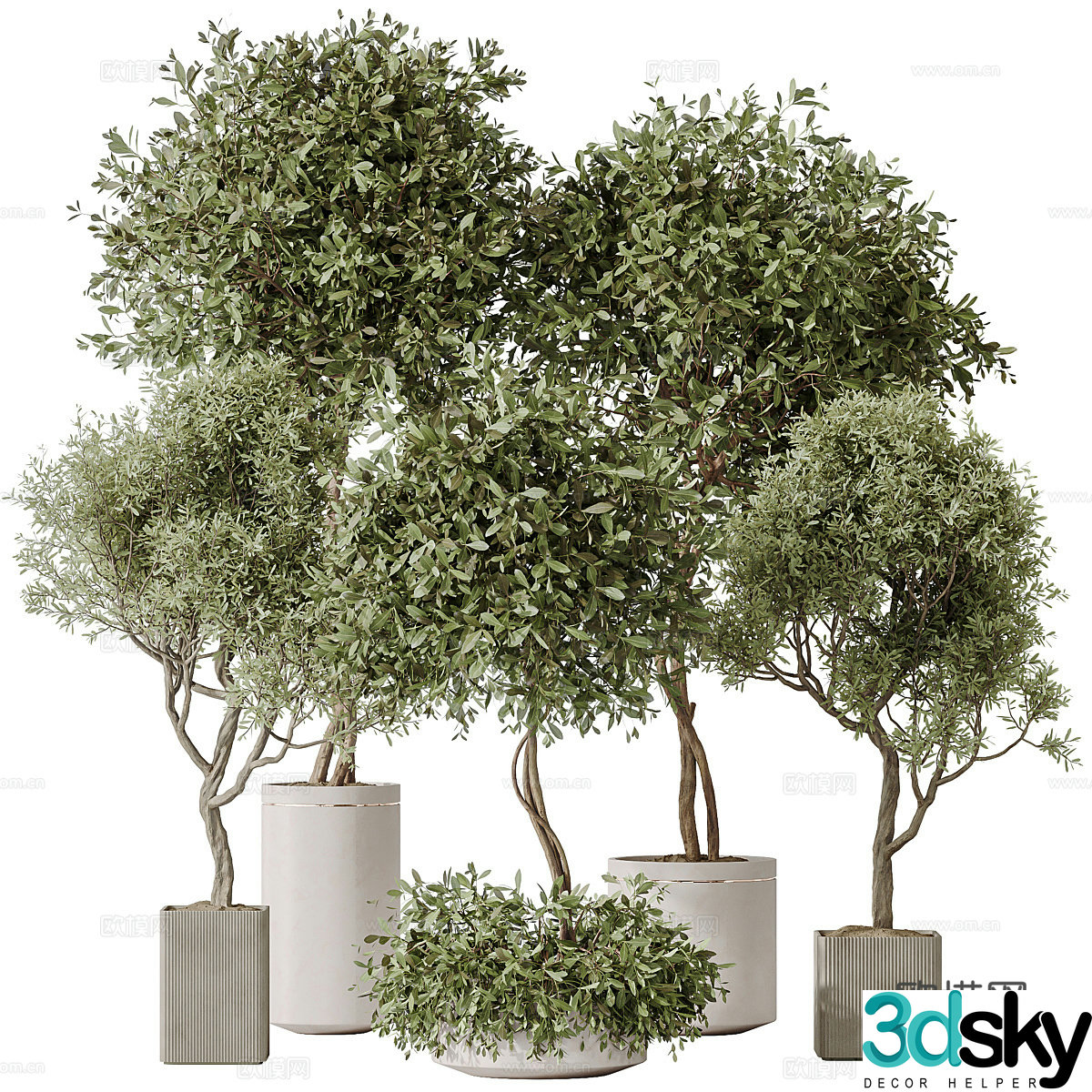 Green plant potted plants Decorative green plants Balcony green plants Outdoor green plants Indoor green plants Flooring 3D model