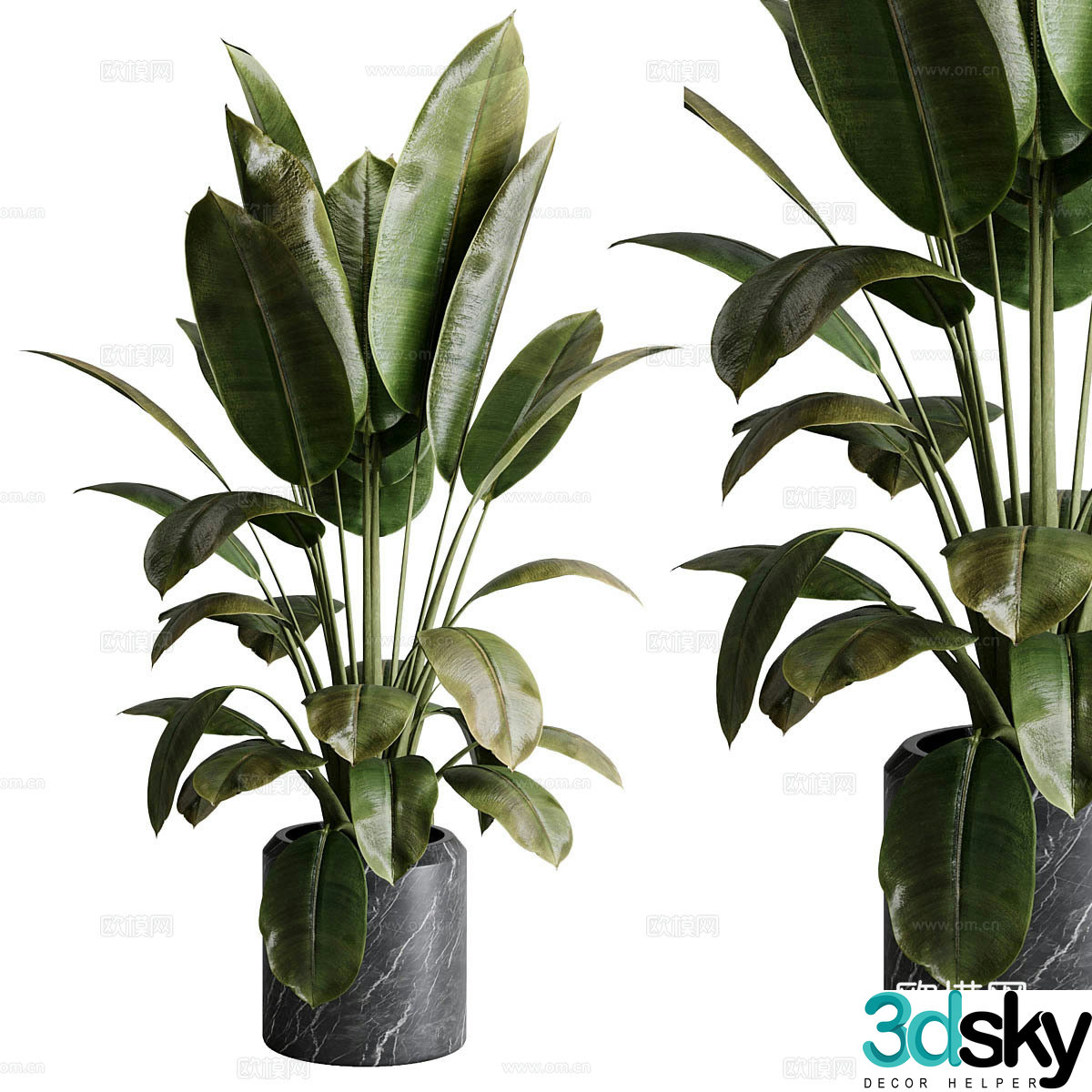 Modern green plant potted 3D model