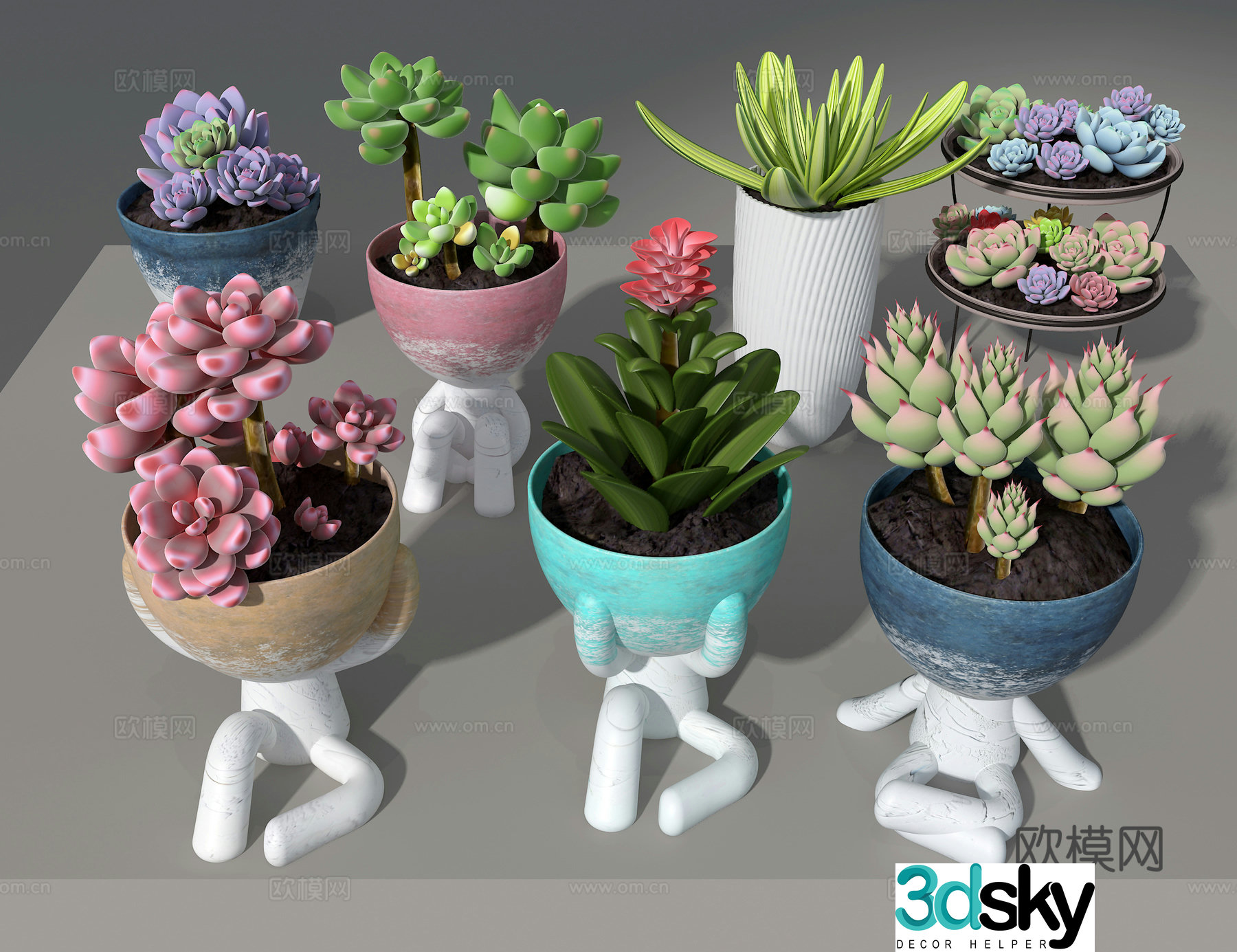 Succulent 3D model
