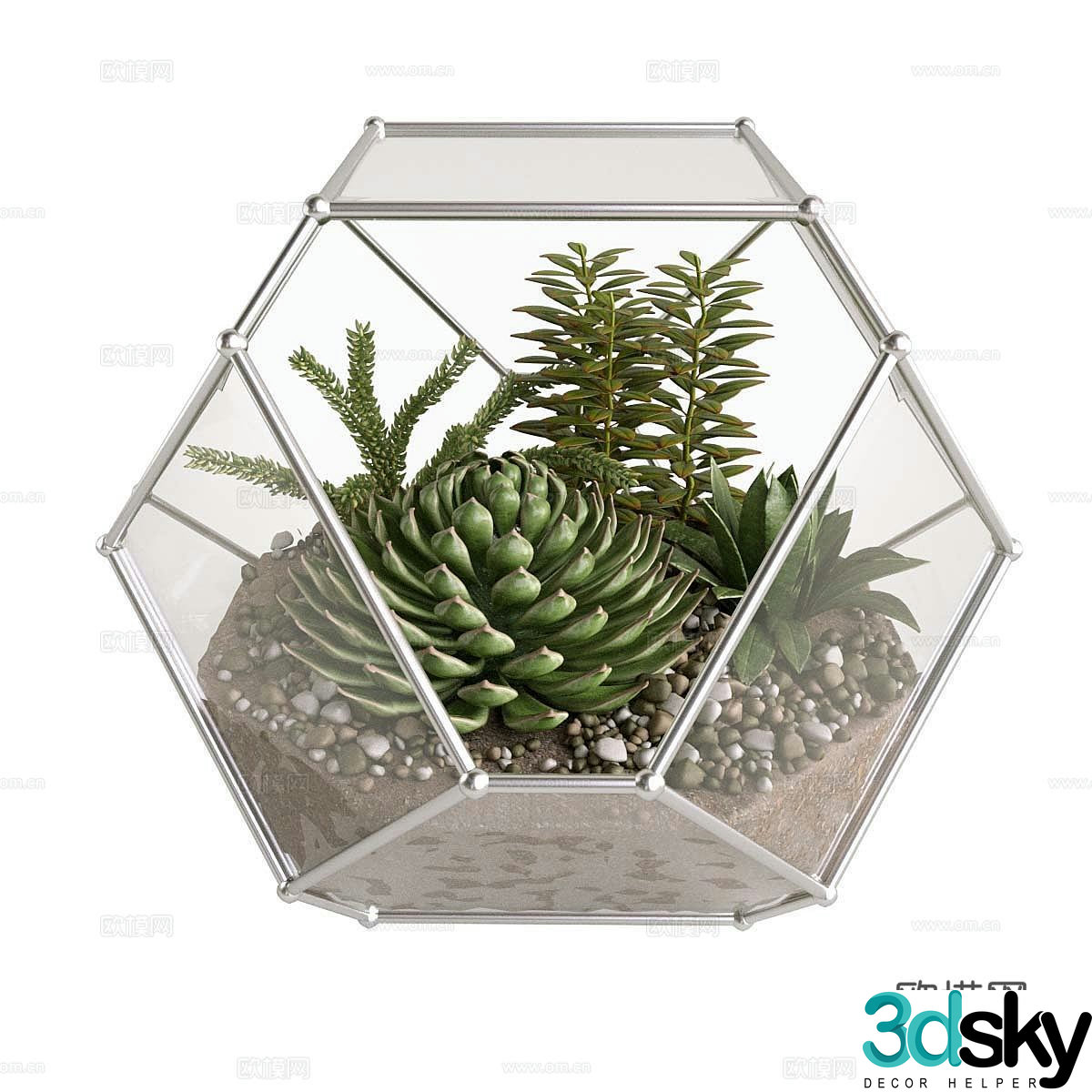 Modern potted plants green plant decorations green plant decorations potted bonsai cactus plant accessories 3d model