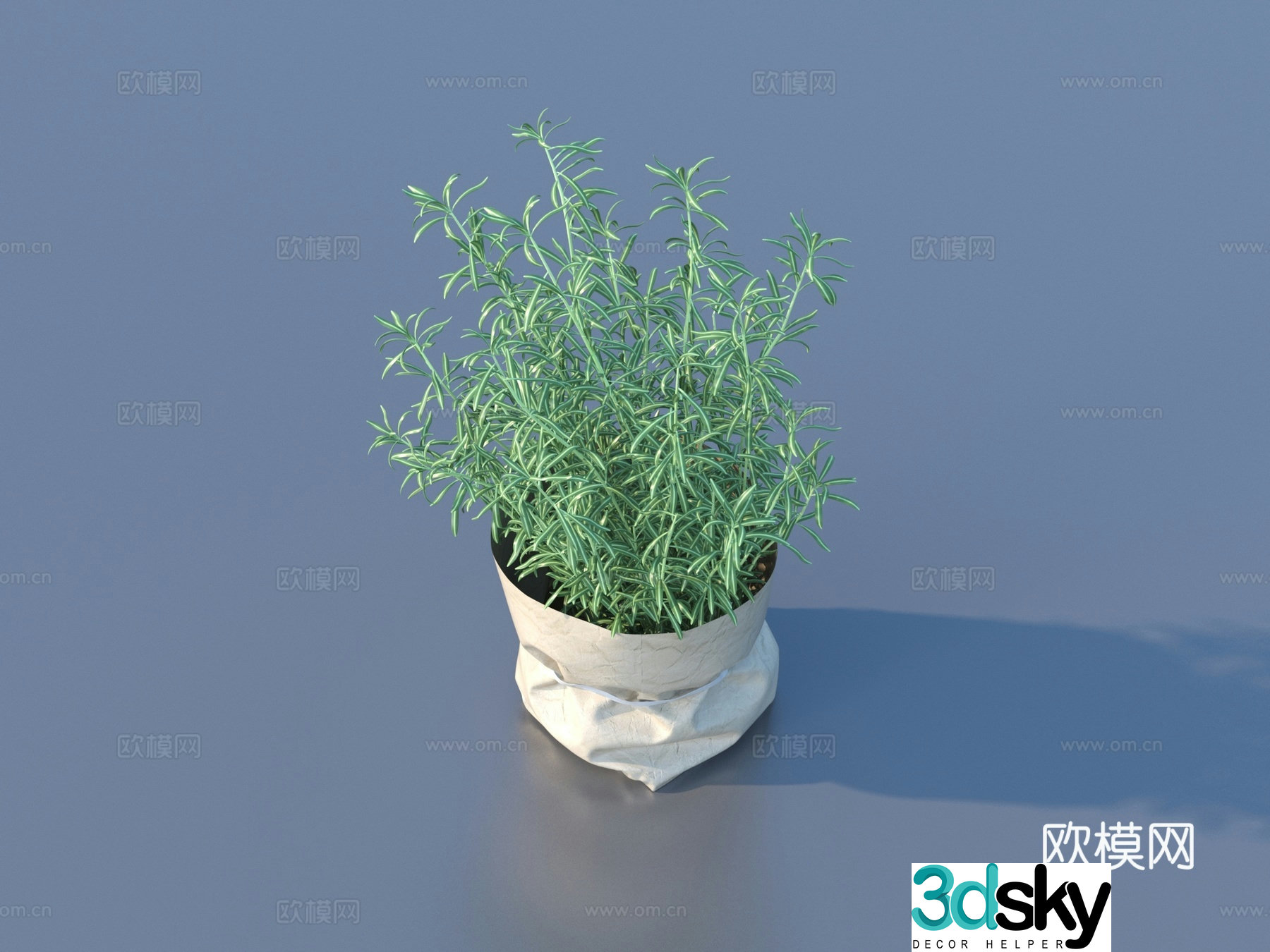 Vegetables Vegetables Leaves Food 3D Model